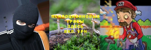 MESCALINE Бородино