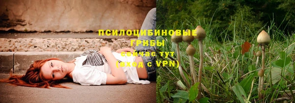 дурь Беломорск